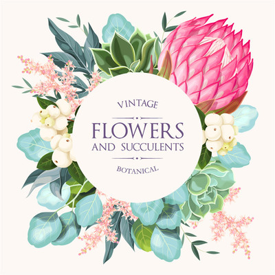 花卉與多肉植物的魅力與養(yǎng)護指南