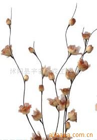 供應葉脈花、龍柳、三叉木、龍桑、蘆葦專業指南